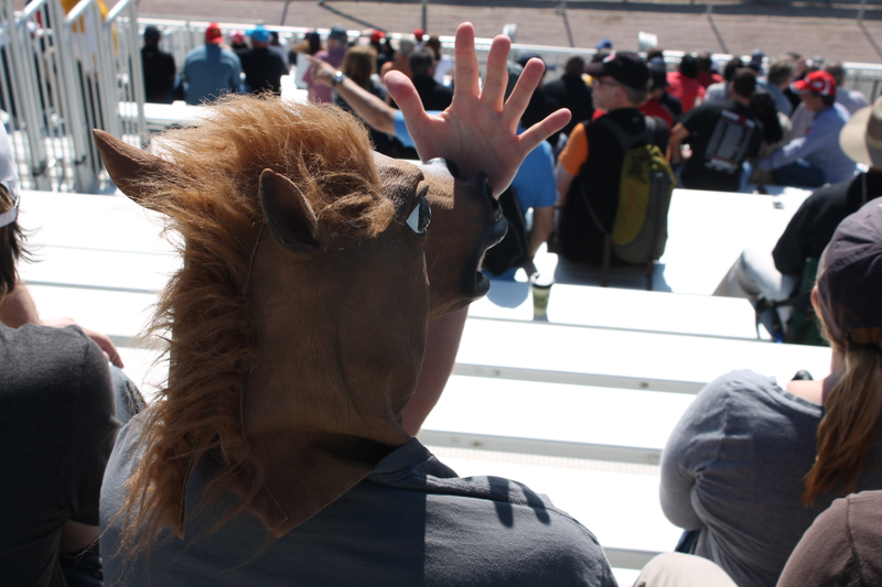 Illustration for article titled Formula 1 Is More Fun In A Horse Mask